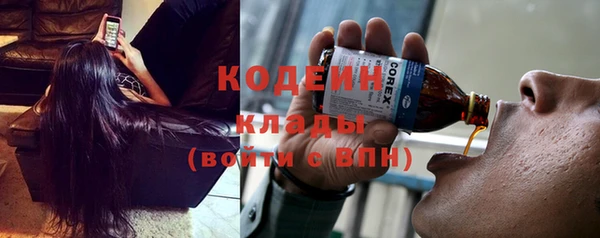 индика Нея