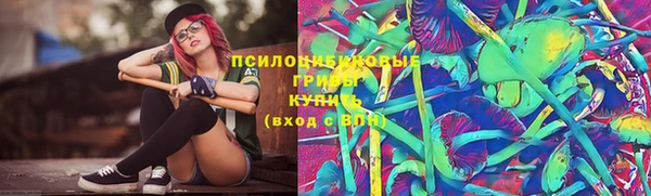 гашик Тихорецк