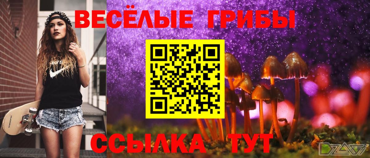А ПВП Чита