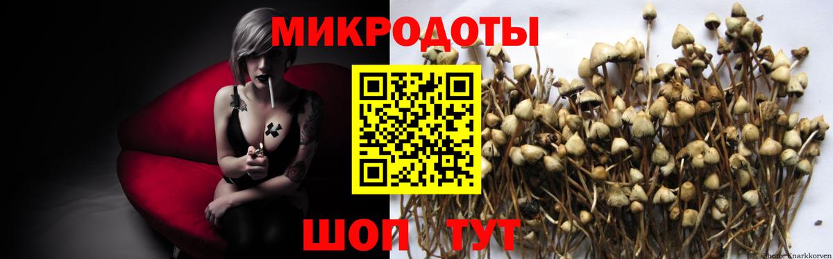 Псилоцибиновые грибы Psilocybine cubensis  Вход с VPN  Чита 