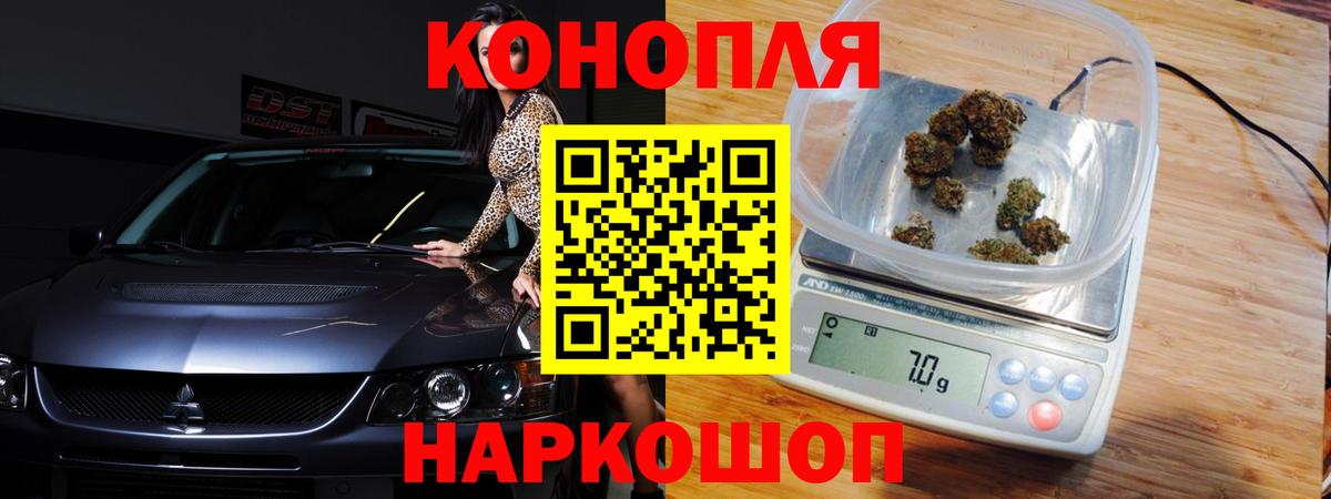 Бошки Шишки VHQ Чита